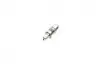 Гідрокомпенсатор Citroen Jumper/Jumpy/Peugeot Boxer/Expert 2.0 BlueHDi 15- (DW10FD) INA 420 0234 10 (фото 1)