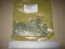 Цепь ГРМ 2.5i X25D1,2.0i X20D1,2.0i X20D0,2.5i X25D0 CHEVROLET Epica 06-12,Evanda 04-06 GM 96307659 (фото 1)