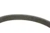 Комплект ременя генератора BMW 1 (E87/E88)/3 (E46/E90)/5 (E60) 1.6-2.0 01-10, N46B20, (6PK1870) INA 529 0044 10 (фото 10)