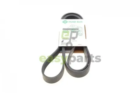 Ремінь генератора MB G/GL/ML/S (W221) 3.0TD 06-09 INA FB 8PK2035