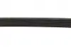 Ремінь генератора Citroen Berlingo/Fiat Ducato/Peugeot Boxer/Expert 1.9 D/TD 96-03 (6PK730) INA FB 6PK730 (фото 2)