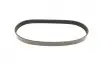 Ремінь генератора Citroen Berlingo/Fiat Ducato/Peugeot Boxer/Expert 1.9 D/TD 96-03 (6PK730) INA FB 6PK730 (фото 3)