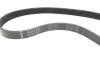 Комплект ременя генератора Citroen Berlingo/Jumpy/Peugeot Expert/Partner 1.6 HDi 08- INA 529 0335 10 (фото 2)