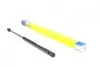 Амортизатор крышки MAGNETI MARELLI 430719029700 (фото 1)