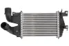 Інтеркулєр THERMOTEC DAX007TT (фото 1)