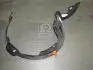 Підкрильник передній Hyundai/Kia/Mobis 86812-1M000 (фото 1)