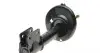 Амортизатор (передній) Peugeot 308 07-14 (R) KAVO PARTS SSA-10195 (фото 5)