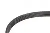 Комплект ременя генератора Renault Kangoo 1.5dCi 09- (6PK 1197) SKF VKMA36145 (фото 6)