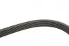 Комплект ременя генератора Opel Insignia 2.0 CDTI 08-17 (6PK 1852) SKF VKMA35359 (фото 3)