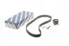 Комплект ГРМ Renault Clio/Kangoo/Megane/Dacia Dokker/Duster/Logan 1.5dCi 10- (27x119z) 1987946705