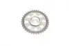 Комплект ланцюга ГРМ VW Golf V 1.4TSI, 10/03 - 02/09, 90/103/125kw, (z=130/18-18/36/36) (OE VAG) BORSEHUNG B18475 (фото 7)