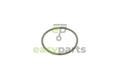 Прокладка колектора впускного Renault Kangoo/Laguna II/Trafic 1.4-2.0 01- ROTWEISS RWS1768