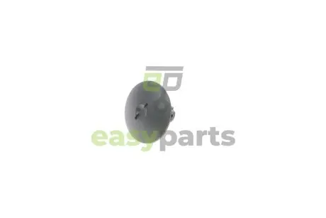 Кліпса кріплення обшивки Renault Scenic 04- ROTWEISS RWS1838