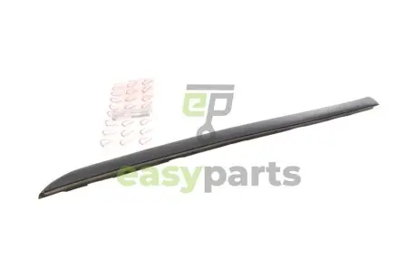 Накладка скла лобового MB Vito (W638) 96-03 (R) ROTWEISS RWS1704