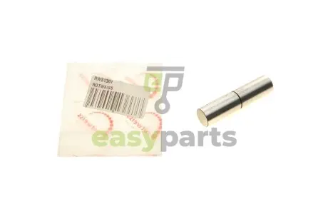 Палець вакуума VW LT/T4 2.4/2.5TDI 91-04 ROTWEISS RWS1301