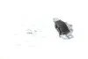Подушка двигуна (задня) Fiat Punto 1.2-1.4 05- UCEL 31546 (фото 1)