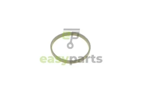Прокладка заслонки дросельної Renault Megane II 1.4/1.6 16V 03- (K4M/K4J) ROTWEISS RWS1771
