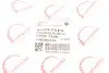 Кришка фільтра масляного Ford Transit 2.2/2.4TDCi 06- ROTWEISS RWS1248 (фото 5)