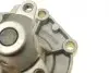 Помпа води Renault Kangoo/Master/Laguna/Megane/Opel Movano 1.8/1.9dCi/dTi/D/2.0 95-03 (R/B)(8лоп) BUGATTI PA7701 (фото 15)
