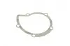 Помпа води Citroen C4/C5/C8/Jumpy/Fiat Scudo/Peugeot 308/407/Ford Focus 2.0HDI 06-(B/B)(24лоп) BUGATTI PA10170 (фото 13)