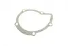 Помпа води Citroen C4-C8/Jumpy 2.0-2.2HDi/Fiat Scudo 2.0D/Ford Focus 2.0TDCI 01- (B/B)(8лоп) BUGATTI PA7409 (фото 17)