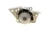 Помпа води Fiat Scudo 96-06/Ducato/Peugeot Boxer/406 1.9D/TD/2.0 94-02 BUGATTI PA5501 (фото 13)