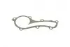 Помпа води Nissan Almera 1.5/1.6/1.8 00-/Primera 1.6/1.8 99-08 (R/B) (6 лоп) BUGATTI PA10055 (фото 2)