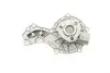 Помпа води Audi/Seat/VW 1.3/1.4/1.6/D/TD/1.7/D/1.8/GT/GTE/1.9/D/TD/TDI/SDI/2.0/E 75-04 (B/B)(6 лоп) BUGATTI PA0319 (фото 7)