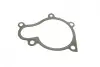 Помпа води Hyundai Accent/Elantra/Santa Fe/Tucson/Kia Sportage 1.5/2.0CRDI 01-08 (20z) (R/B) (6 лоп) BUGATTI PA10066 (фото 7)