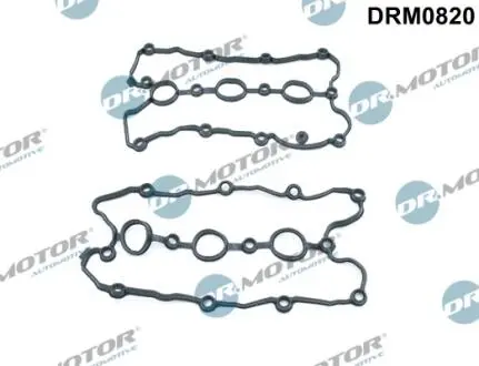 К-т прокладок клапанної кришки 1-3 цилiндр + 4-6 цилiндр DR MOTOR DRM0820