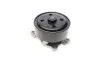 Помпа води Renault Laguna III/Megane III/Scenic III/Nissan X-Trail/Qashqai 2.0 16V 07- BUGATTI PA10200 (фото 1)