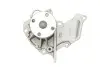 Помпа води Ford Fiesta IV/V/Focus/Fusion 1.25/1.4/1.6 95-12/Mazda 2 03-07/Volvo C30/S40/V50 05-12 BUGATTI PA6010 (фото 6)