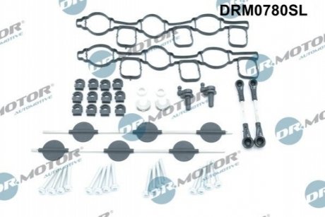 Ремкомплект впускного колектора 40 елементiв DR MOTOR DRM0780SL (фото 1)