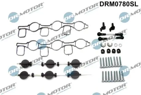 Ремкомплект впускного колектора 40 елементiв DR MOTOR DRM0780SL
