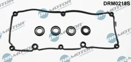 К-кт прокладки кришки клапанів VW GOLF 1.6TDI 09-16, PASSAT 1.6TDI 09-14 SKODA FABIA 1.6TDI 10-14, OCTAVIA 1.6TDI 09-13 DR MOTOR DRM0218S