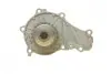 Помпа води Citroen C1/C2/C3/Nemo/Ford Fiesta/Peugeot 1007/206/307 1.4HDi/TDCI 02- BUGATTI PA10013 (фото 13)