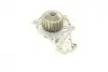 Помпа води Citroen C1/C2/C3/Nemo/Ford Fiesta/Peugeot 1007/206/307 1.4HDi/TDCI 02- BUGATTI PA10013 (фото 3)