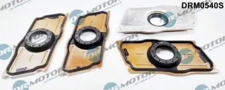 К-т ущiльнювача iнжектора з корпусом,4шт DR MOTOR DRM0540S