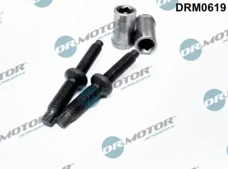 Ремкомплект, корпус форсунки 4 елементи DR MOTOR DRM0619