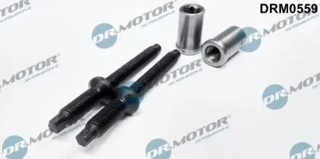Ремкомплект, корпус форсунки 4 елементи DR MOTOR DRM0559