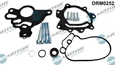 К-т прокладок вакуумної помпи з болтами DR MOTOR DRM0252