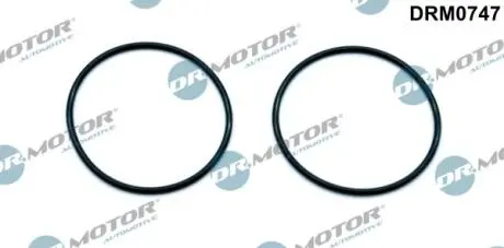 К-т прокладок помпи вакуумної, 2шт. DR MOTOR DRM0747