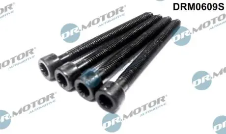 Болт крiплення форсунки 4шт. DR MOTOR DRM0609S