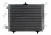 Радiатор кондицiонера з осушувачем Citroen C3/Peugeot 207/208 1.0-1.6/1.6HDi 02- Abakus 0090160011 (фото 1)