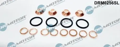 Ремкомплект форсунки 16 елементiв DR MOTOR DRM0256SL