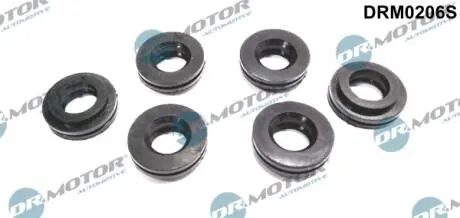 Ремкомплект форсунки 6 елементiв DR MOTOR DRM0206S