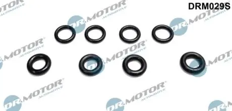 Ремкомплект форсунки 8 елементiв DR MOTOR DRM029S