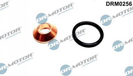 Ремкомплект форсунки 2 елементи DR MOTOR DRM0256 (фото 1)