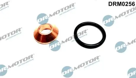 Ремкомплект форсунки 2 елементи DR MOTOR DRM0256