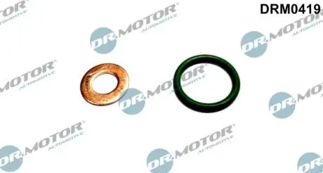 Ремкомплект форсунки 2 елементи DR MOTOR DRM0419